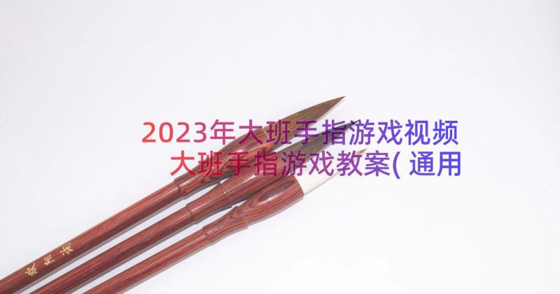 2023年大班手指游戏视频 大班手指游戏教案(通用8篇)