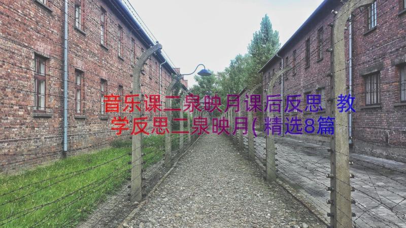 音乐课二泉映月课后反思 教学反思二泉映月(精选8篇)