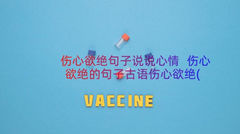 伤心欲绝句子说说心情 伤心欲绝的句子古语伤心欲绝(精选15篇)