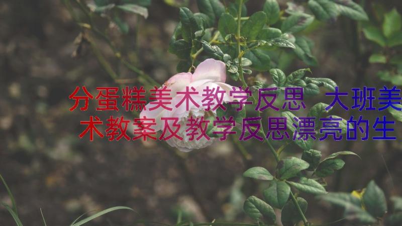 分蛋糕美术教学反思 大班美术教案及教学反思漂亮的生日蛋糕(汇总8篇)