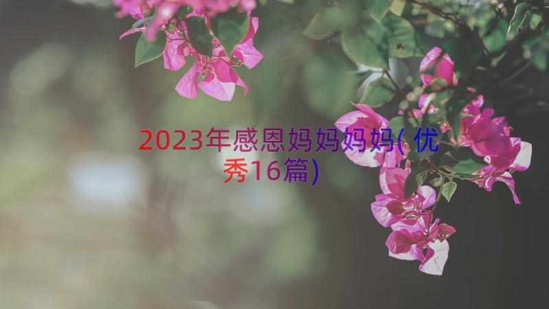 2023年感恩妈妈妈妈(优秀16篇)