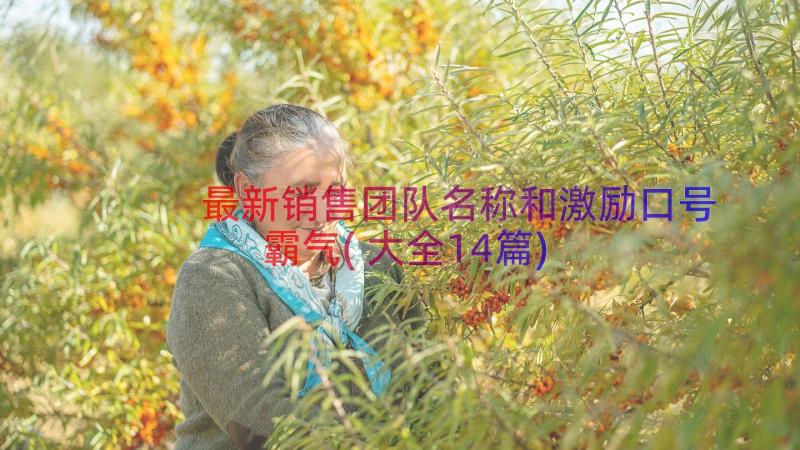 最新销售团队名称和激励口号霸气(大全14篇)