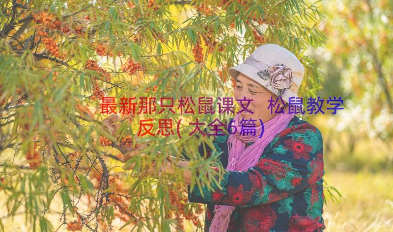 最新那只松鼠课文 松鼠教学反思(大全6篇)