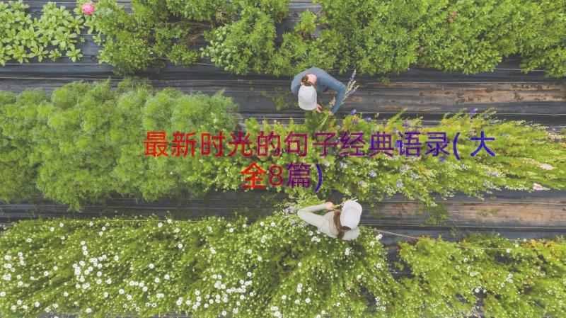 最新时光的句子经典语录(大全8篇)