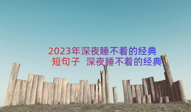 2023年深夜睡不着的经典短句子 深夜睡不着的经典句子(大全8篇)