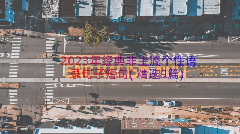 2023年经典非主流个性语录句子短句(精选9篇)