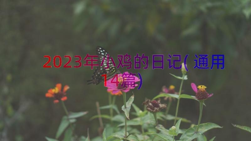 2023年小鸡的日记(通用14篇)