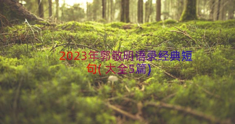 2023年郭敬明语录经典短句(大全5篇)