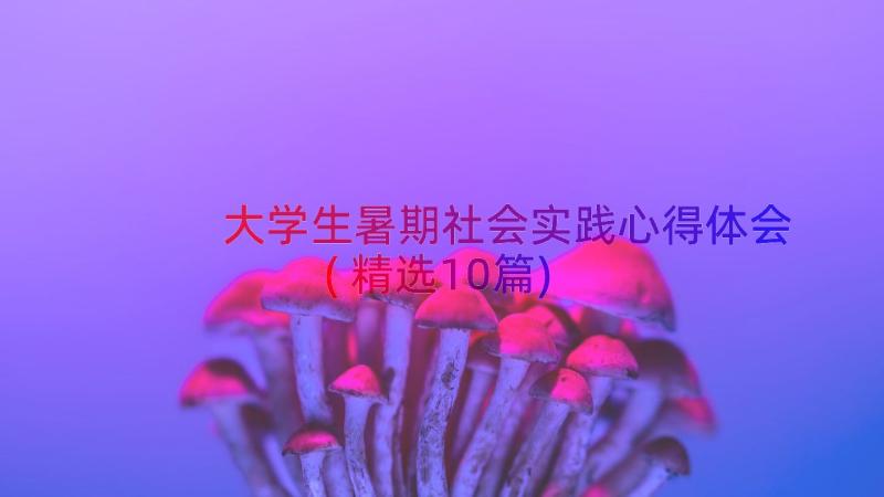 大学生暑期社会实践心得体会(精选10篇)