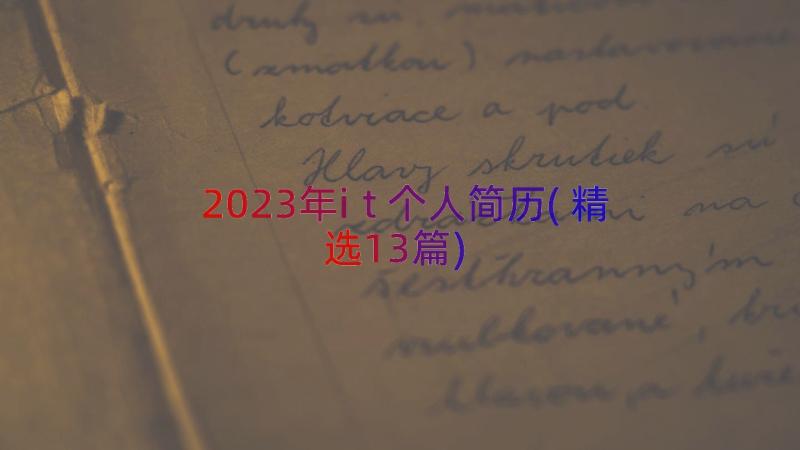 2023年it个人简历(精选13篇)