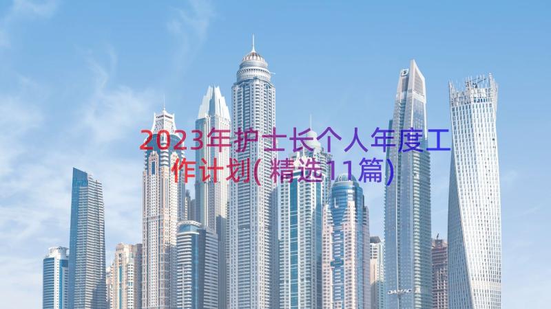 2023年护士长个人年度工作计划(精选11篇)