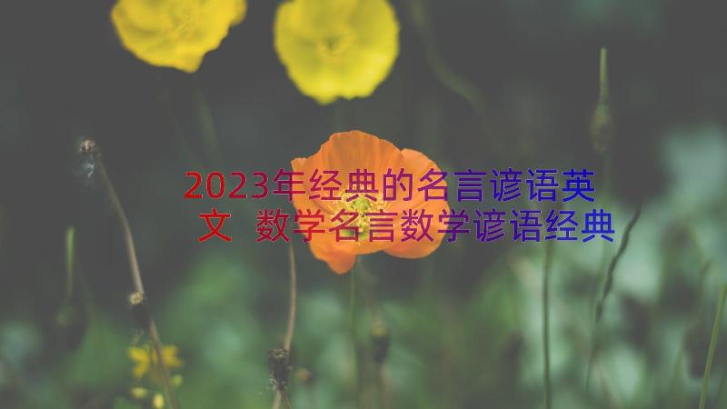 2023年经典的名言谚语英文 数学名言数学谚语经典(大全8篇)