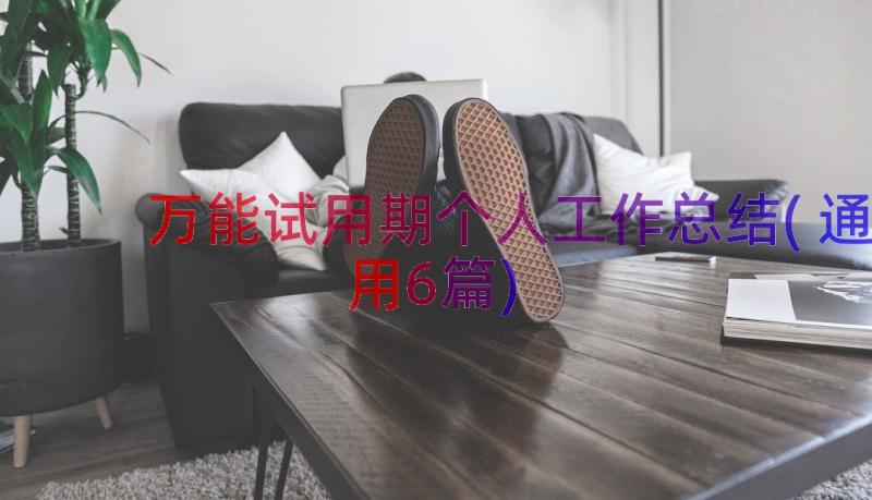 万能试用期个人工作总结(通用6篇)