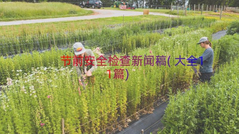 节前安全检查新闻稿(大全11篇)