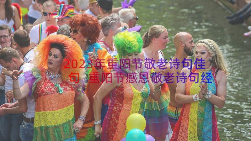 2023年重阳节敬老诗句佳句 重阳节感恩敬老诗句经典(精选8篇)