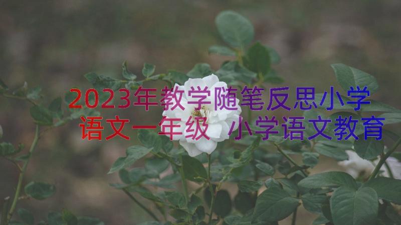 2023年教学随笔反思小学语文一年级 小学语文教育教学反思及随笔(实用8篇)