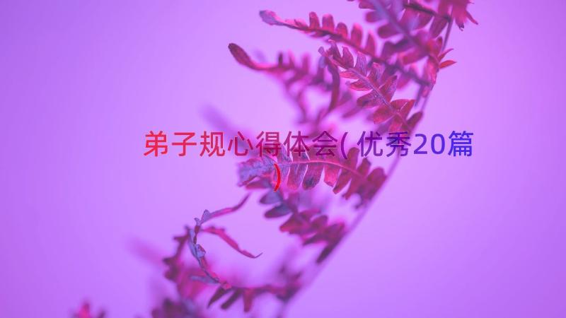 弟子规心得体会(优秀20篇)