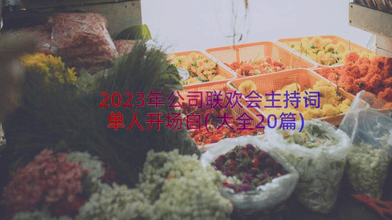 2023年公司联欢会主持词单人开场白(大全20篇)