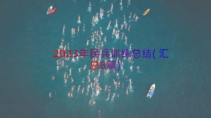 2023年民兵训练总结(汇总8篇)