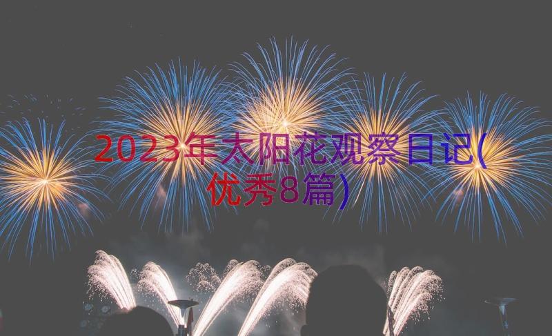 2023年太阳花观察日记(优秀8篇)