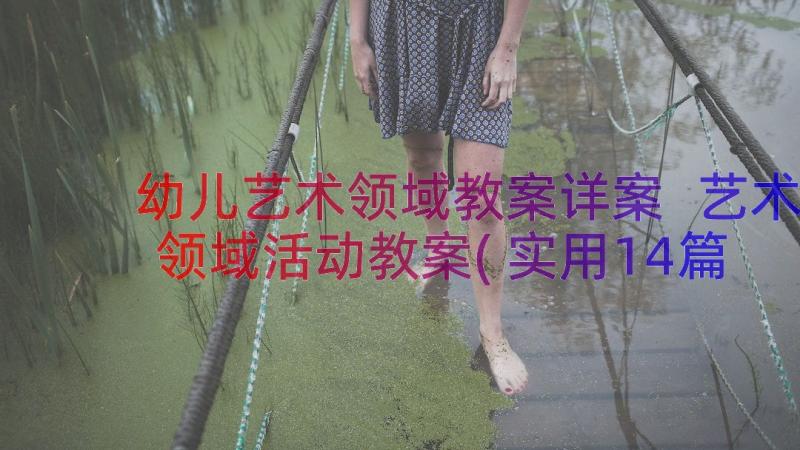 幼儿艺术领域教案详案 艺术领域活动教案(实用14篇)