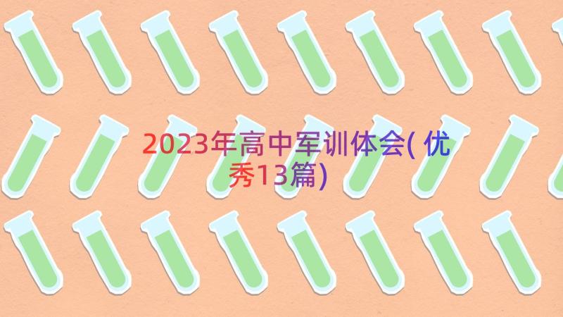 2023年高中军训体会(优秀13篇)