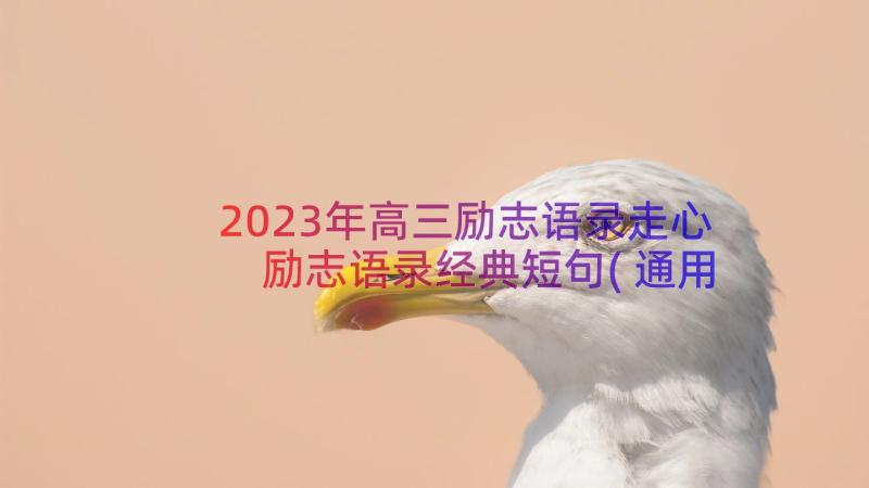 2023年高三励志语录走心 励志语录经典短句(通用8篇)
