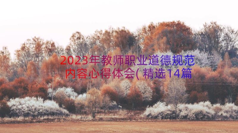 2023年教师职业道德规范内容心得体会(精选14篇)