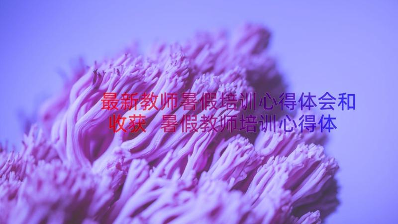 最新教师暑假培训心得体会和收获 暑假教师培训心得体会(优质12篇)