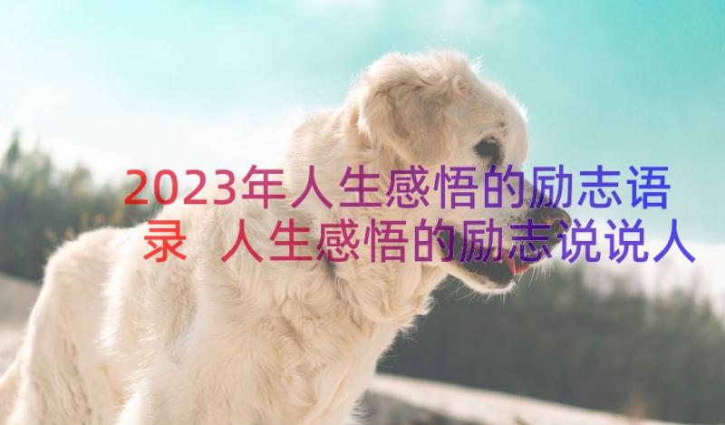 2023年人生感悟的励志语录 人生感悟的励志说说人生感悟的励志语录(优质13篇)