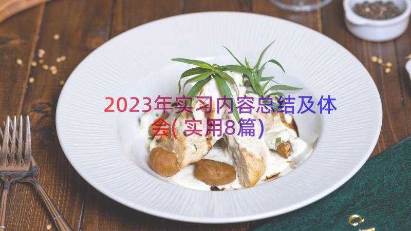 2023年实习内容总结及体会(实用8篇)