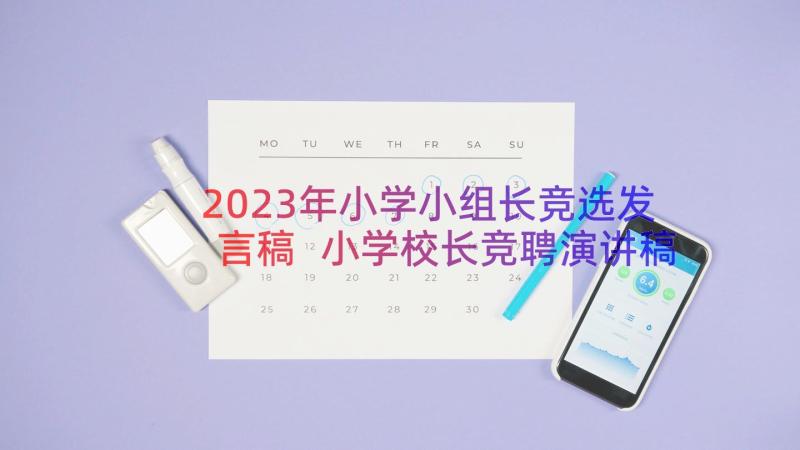 2023年小学小组长竞选发言稿 小学校长竞聘演讲稿(模板5篇)