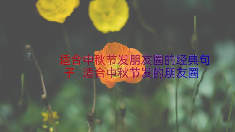 适合中秋节发朋友圈的经典句子 适合中秋节发的朋友圈说说(大全16篇)