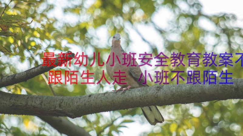 最新幼儿小班安全教育教案不跟陌生人走 小班不跟陌生人走安全教案(汇总17篇)