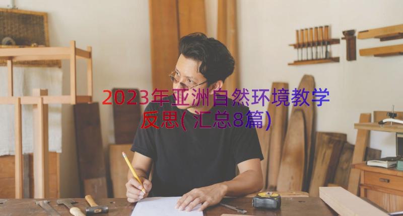 2023年亚洲自然环境教学反思(汇总8篇)