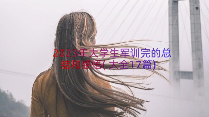 2023年大学生军训完的总结和感悟(大全17篇)