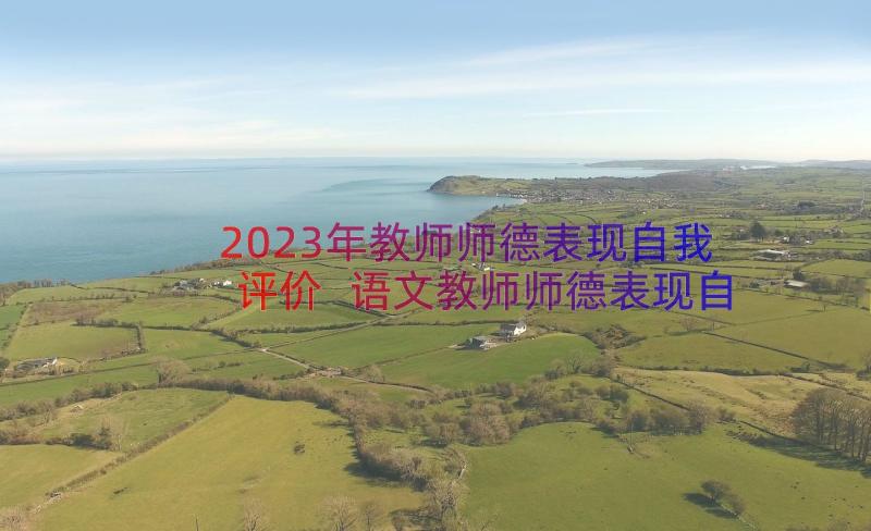 2023年教师师德表现自我评价 语文教师师德表现自我评价(汇总13篇)