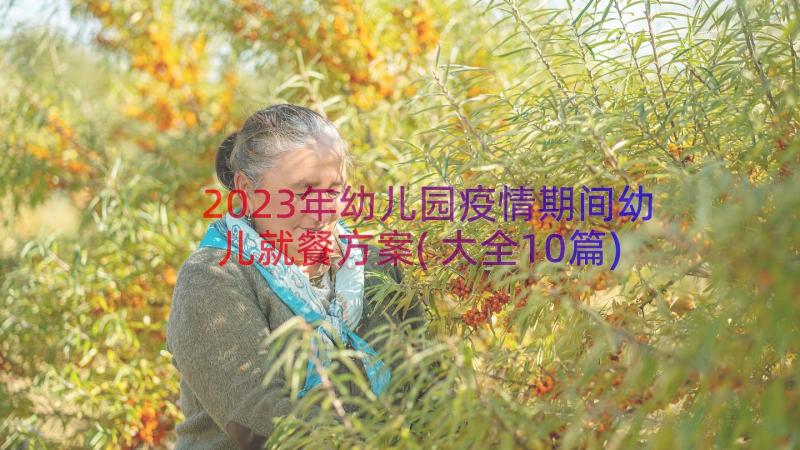 2023年幼儿园疫情期间幼儿就餐方案(大全10篇)