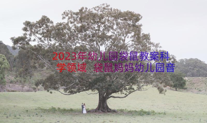 2023年幼儿园袋鼠教案科学领域 袋鼠妈妈幼儿园音乐教案(大全8篇)