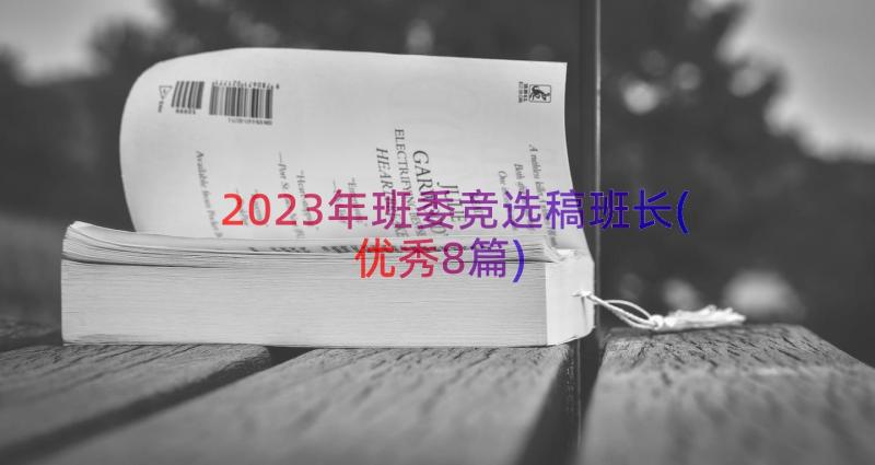 2023年班委竞选稿班长(优秀8篇)