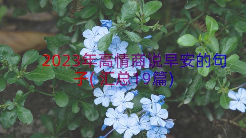 2023年高情商说早安的句子(汇总19篇)