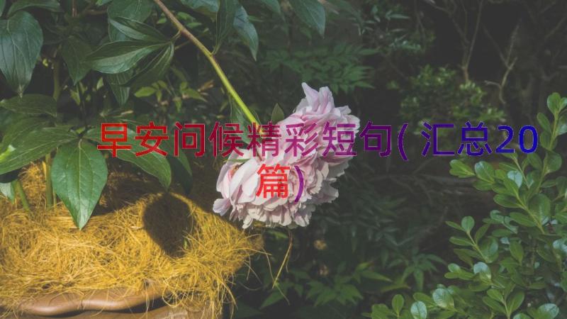 早安问候精彩短句(汇总20篇)