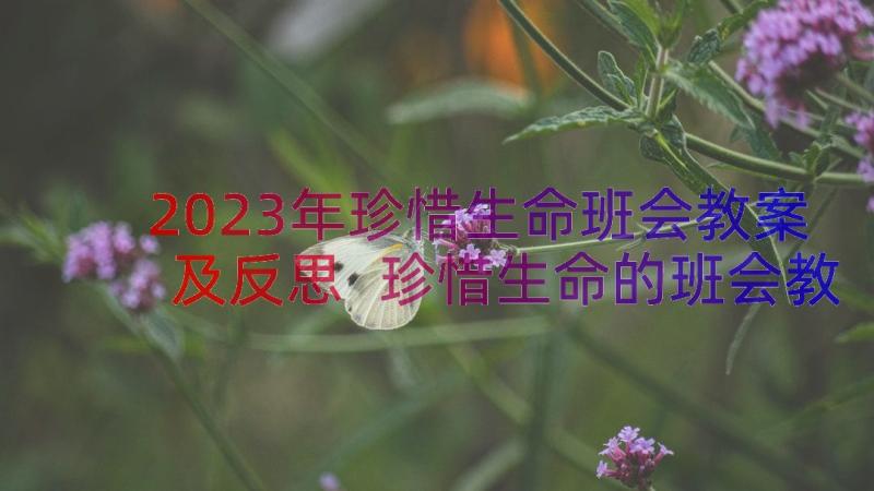 2023年珍惜生命班会教案及反思 珍惜生命的班会教案(汇总8篇)