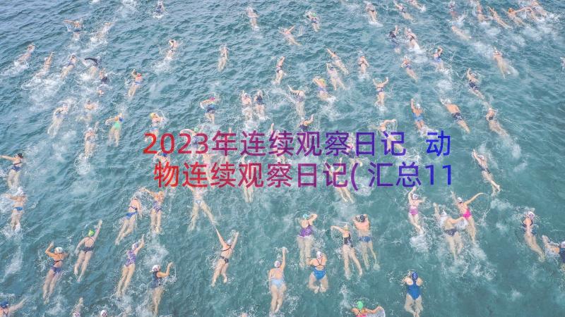 2023年连续观察日记 动物连续观察日记(汇总11篇)