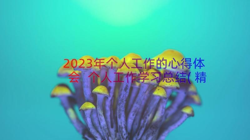 2023年个人工作的心得体会 个人工作学习总结(精选18篇)