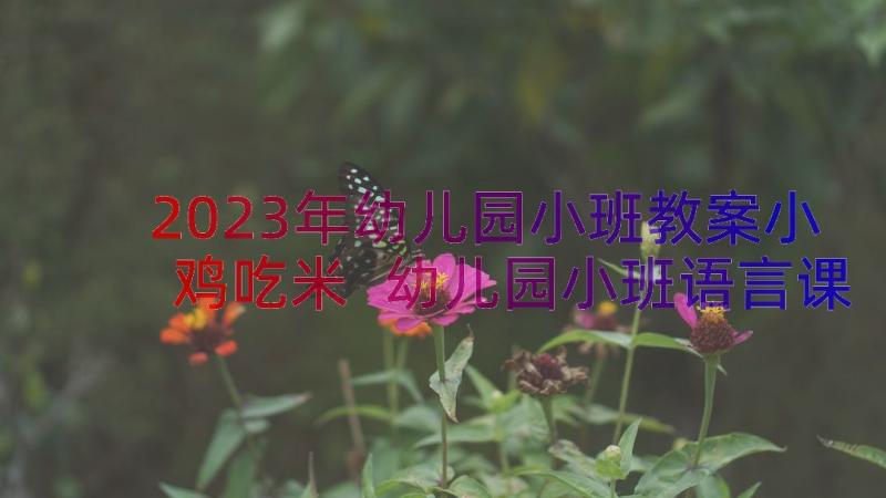 2023年幼儿园小班教案小鸡吃米 幼儿园小班语言课教案小鸡吃米含反思(通用17篇)