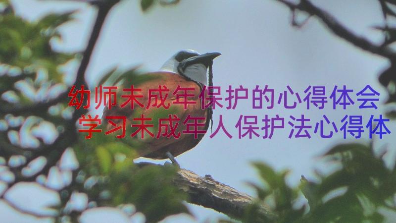 幼师未成年保护的心得体会 学习未成年人保护法心得体会(大全20篇)