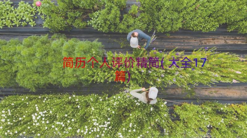 简历个人评价精简(大全17篇)