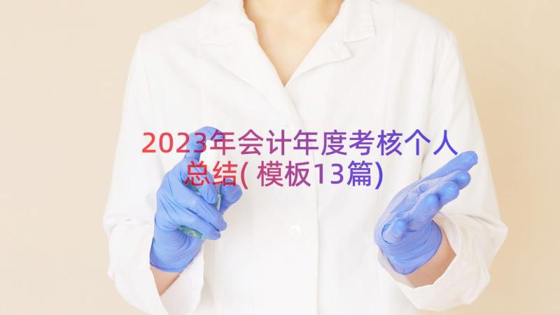 2023年会计年度考核个人总结(模板13篇)