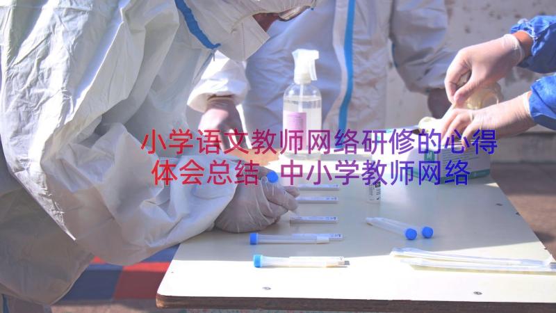 小学语文教师网络研修的心得体会总结 中小学教师网络研修心得体会(大全16篇)